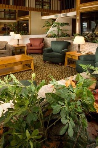 Pear Tree Inn Mcallen Interiør bilde